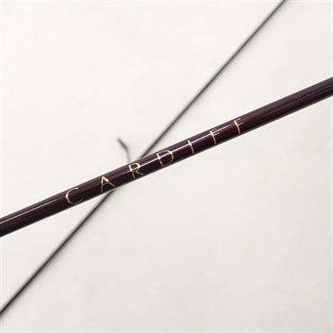カーディフＣＦ５０－２ＳＵＬ Ｉ